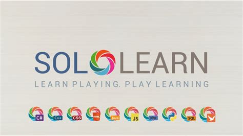 solo learner|solo learner app.